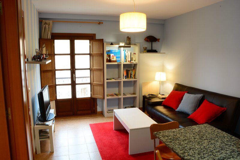 Apartamentos Para Personas Mayores Covadonga